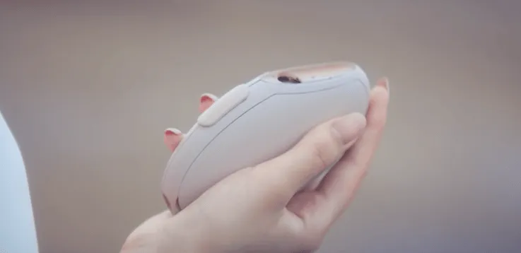 Bloomy Lotus Portable Diffuser, The Pebble Beauty