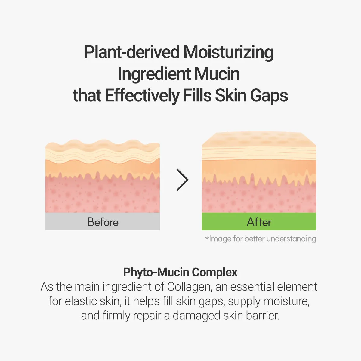 Calming Lotus Sun Cream SPF50  PA    