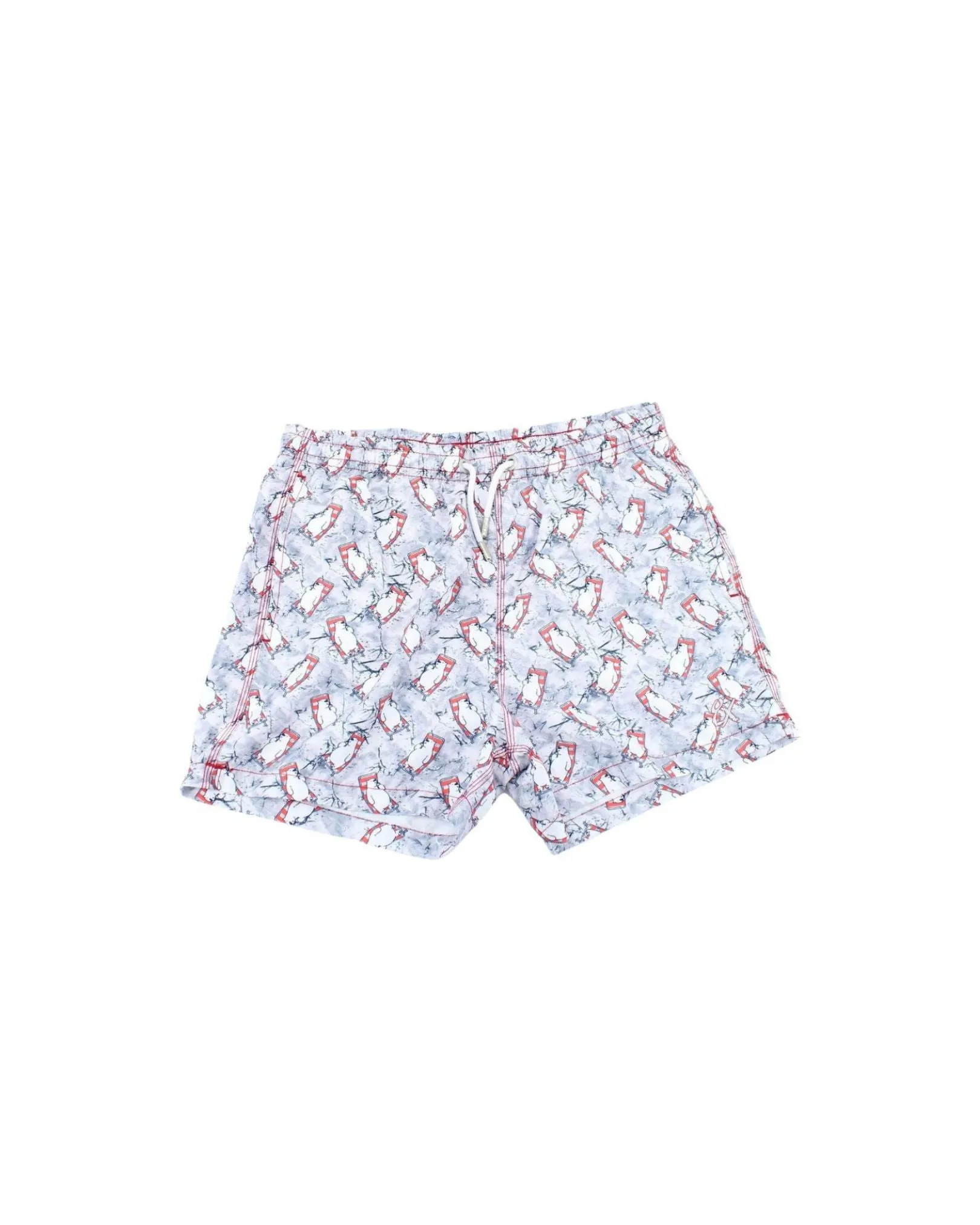 Polar Plunge Print Trunks